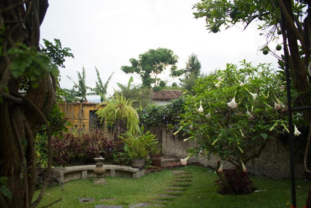 La Casa De Don Pedro Hotel Antigua Exterior photo